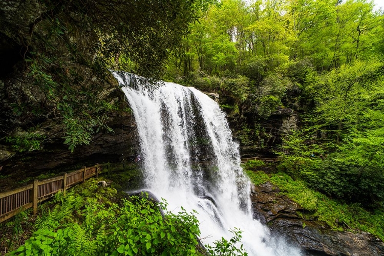 Picture of DRY FALLS 2