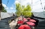 Picture of SUNNY LUNCH