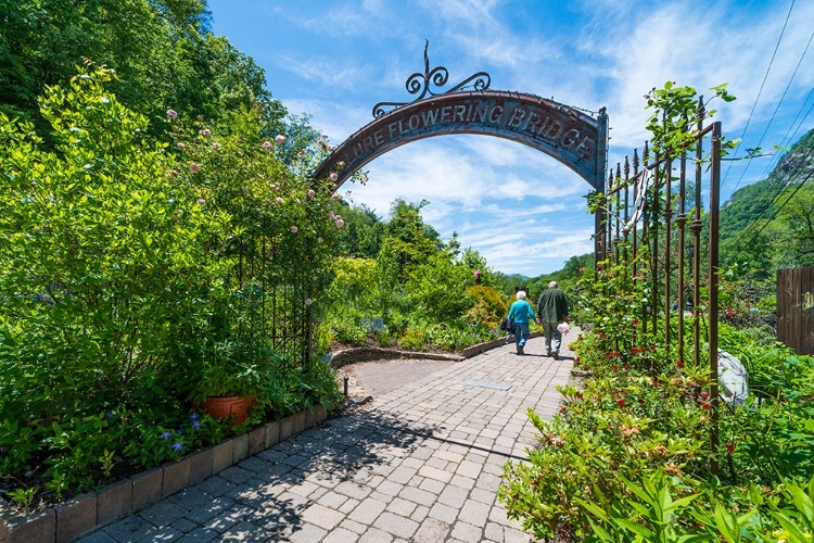 Picture of FLOWERING BRIDGE