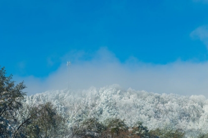 Picture of SNOW ANTENNA