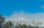 Picture of SNOW ANTENNA