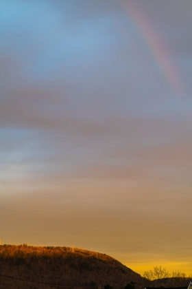 Picture of BLACK CREEK RAINBOW