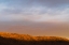 Picture of BLACK CREEK SUN