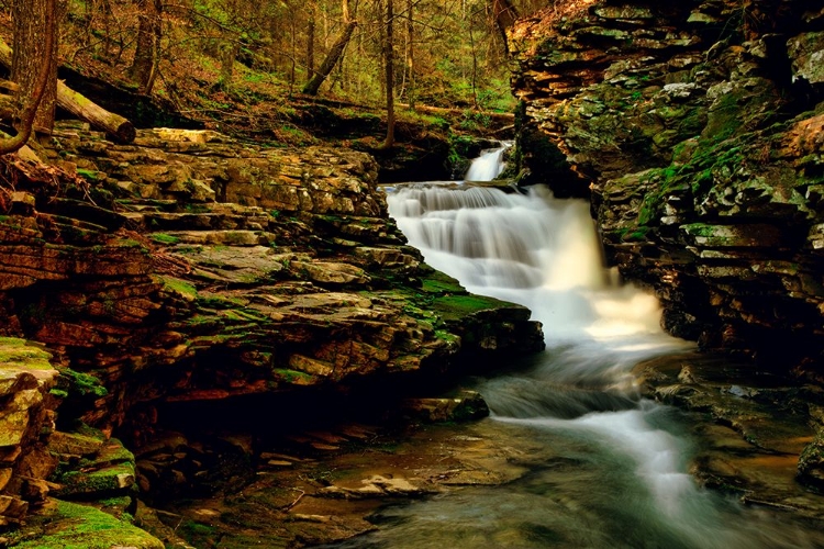 Picture of SECRET WATERFALL