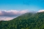 Picture of SMOKEY MORNING 2