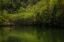 Picture of OCOEE CALM 2