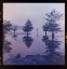 Picture of OCOEE FOG
