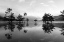 Picture of OCOEE FOG 5