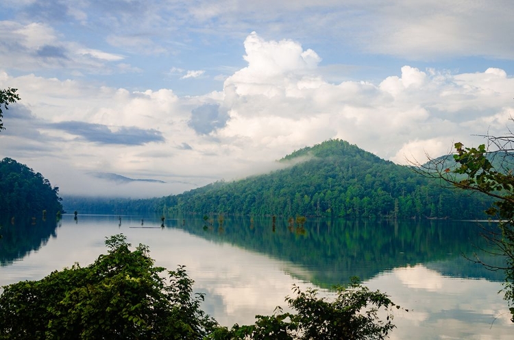 Picture of OCOEE MIST