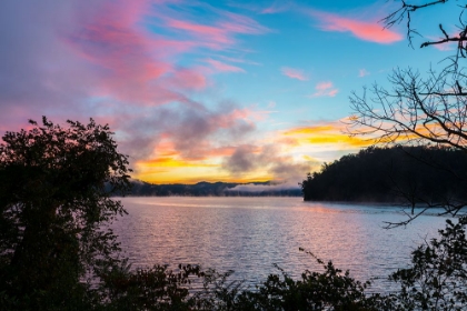 Picture of RAINBOW OCOEE 2