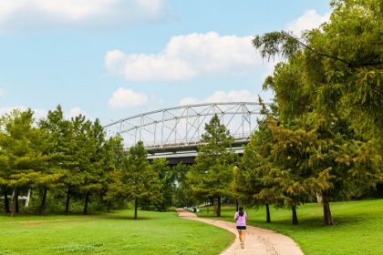 Picture of BASTROP BRIDGE