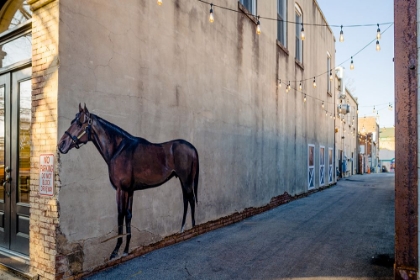 Picture of HORSE ALLEY