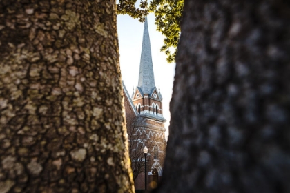 Picture of THROUGH THE TREES