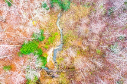 Picture of AERIAL CREEK