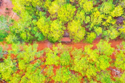 Picture of HUNTING SHED