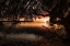 Picture of CLASSIC SUNSET 3