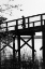 Picture of FISHIN