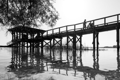 Picture of MONOCHROME DOCK