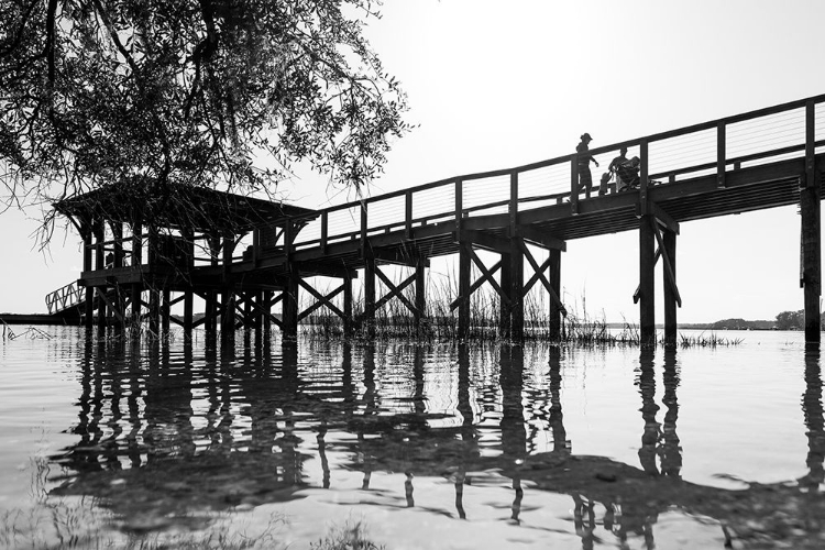 Picture of MONOCHROME DOCK