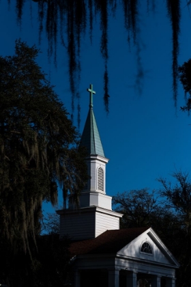 Picture of SPANISH MOSS STEEPLE