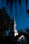 Picture of SPANISH MOSS STEEPLE
