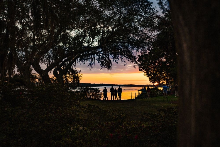 Picture of SUNSET SPECTATORS