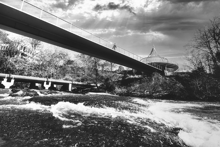 Picture of CANCER SURVIVOR PARK 3 BW