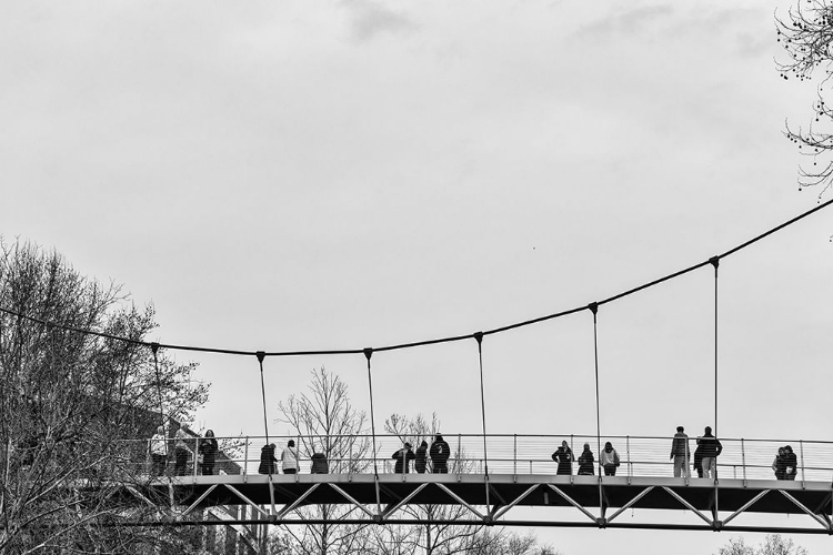 Picture of FALLS PARK AUDIENCE