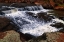 Picture of FALLS PARK RUSH