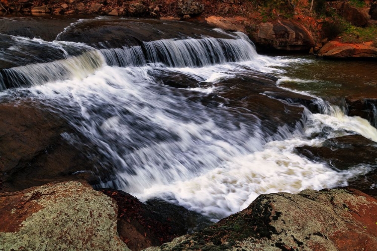 Picture of FALLS PARK RUSH