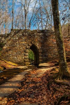 Picture of POINSETT BRIDGE