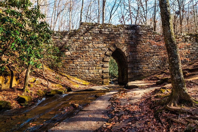 Picture of POINSETT BRIDGE 2