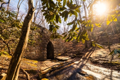 Picture of POINSETT BRIDGE 3