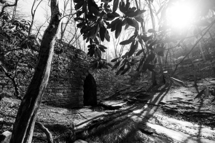 Picture of POINSETT BRIDGE 3 BW