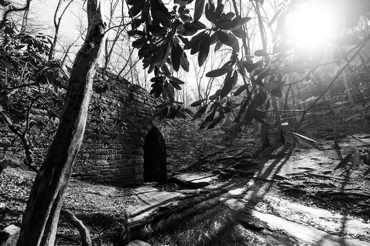 Picture of POINSETT BRIDGE 3 BW