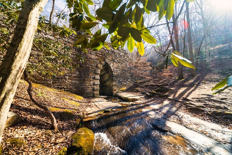 Picture of POINSETT BRIDGE 4