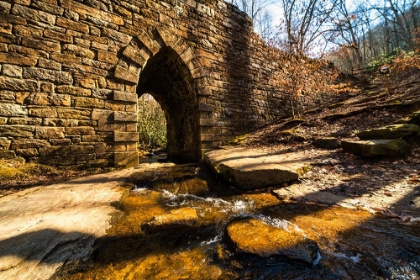 Picture of POINSETT BRIDGE 5