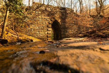 Picture of POINSETT BRIDGE 6