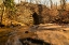 Picture of POINSETT BRIDGE 6
