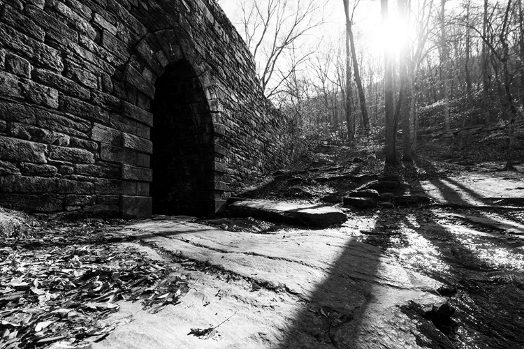 Picture of POINSETT BRIDGE 8