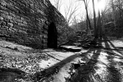 Picture of POINSETT BRIDGE 9