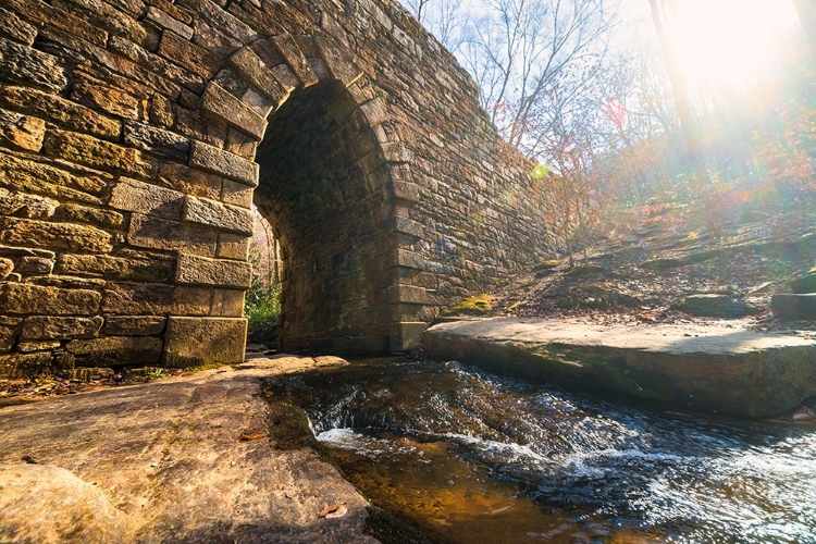 Picture of POINSETT BRIDGE 10