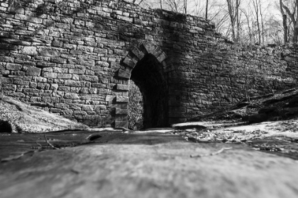 Picture of POINSETT BRIDGE 6 BW