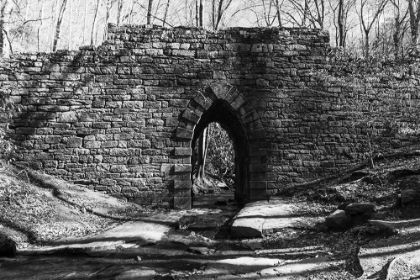 Picture of POINSETT BRIDGE 7 BW