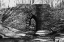 Picture of POINSETT BRIDGE 7 BW