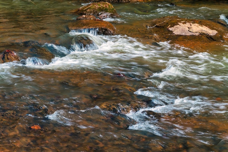 Picture of WINTER FLOW