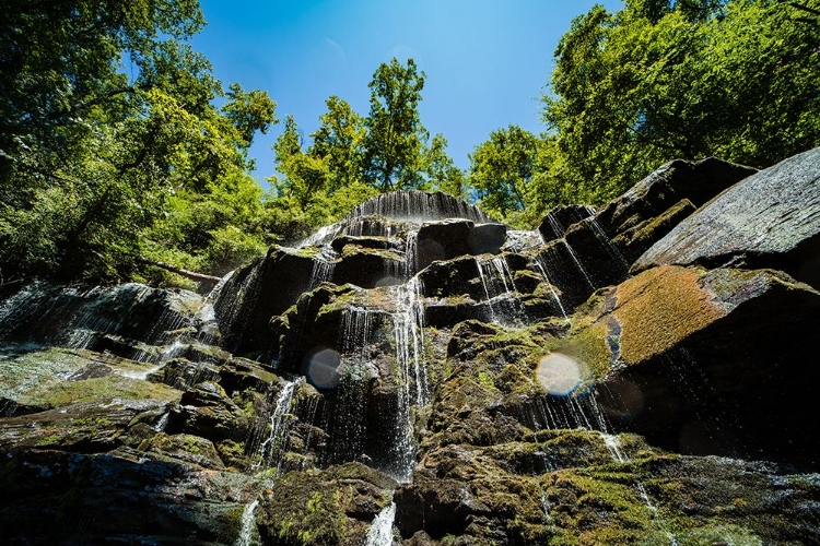 Picture of YELLOW BRANCH FALLS 2