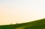 Picture of A LONG WAY 3
