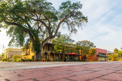 Picture of CITY HALL