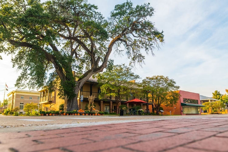 Picture of CITY HALL